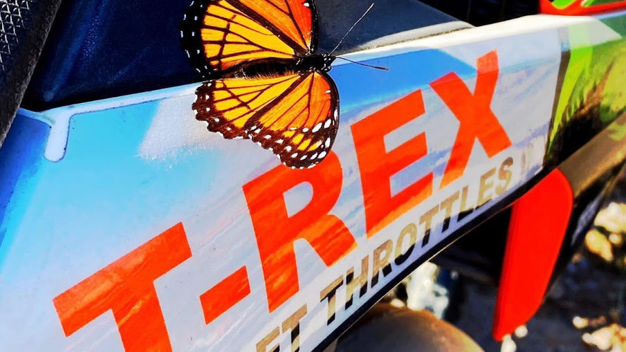 The Daniels -TRex and the Journey